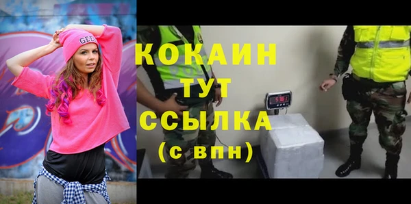 дмт Абаза