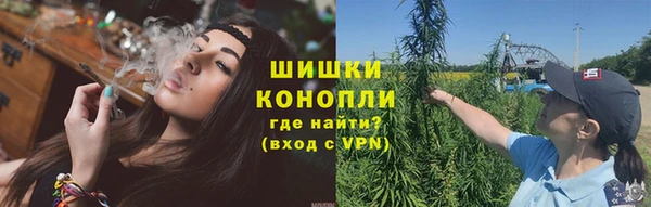 дмт Абаза