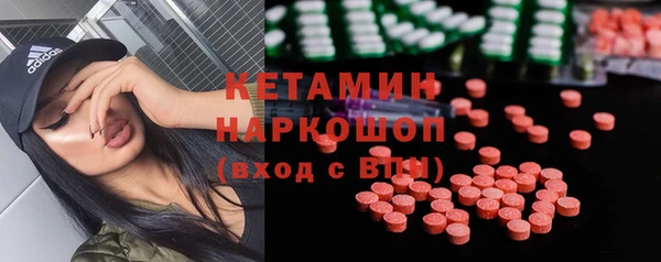 индика Пестово