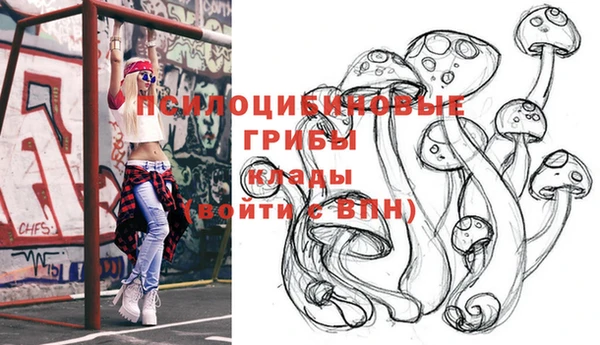 амф Переславль-Залесский