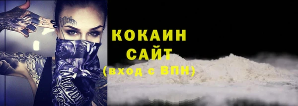 индика Пестово