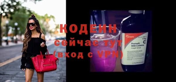 индика Пестово