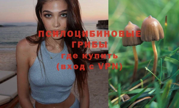 Альфа ПВП Кукмор