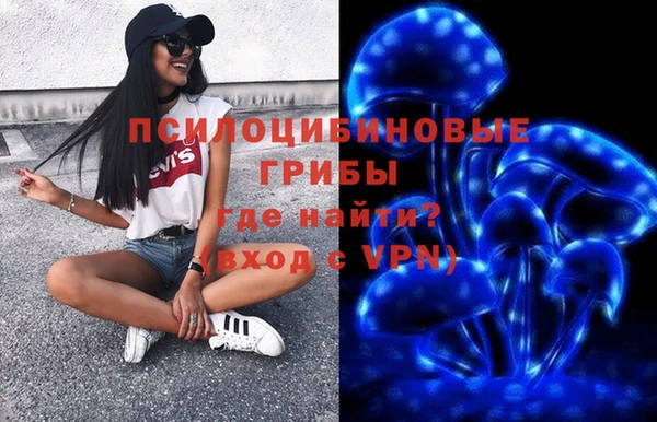 дмт Абаза