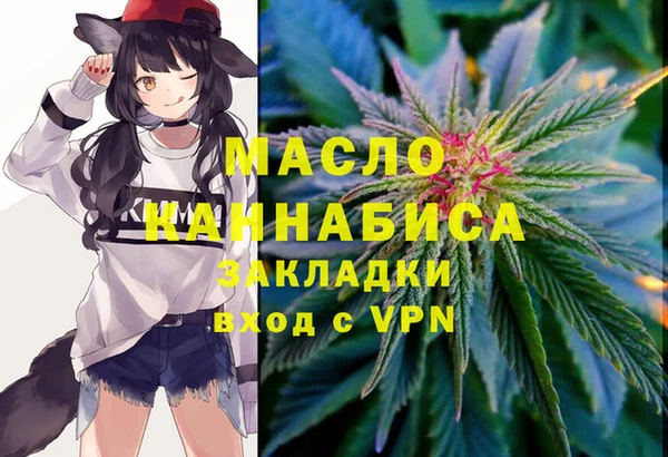 дмт Абаза