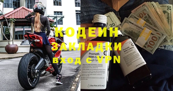 индика Пестово