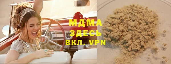индика Пестово
